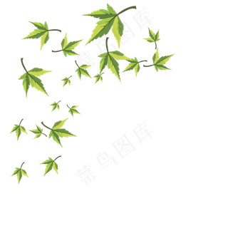 手绘植物树叶叶子