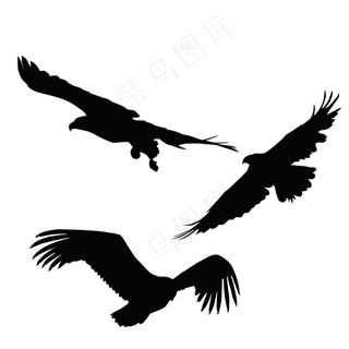 矢量手绘鹰,免抠元素