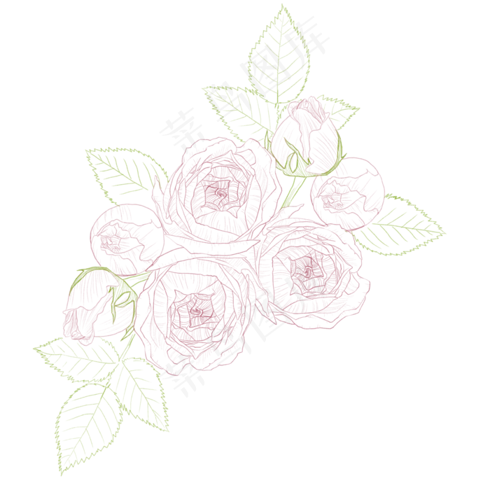 线描玫瑰(3543X3543(DPI:300))psd模版下载