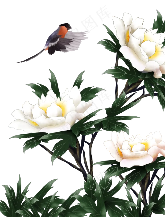 白牡丹花鸟,免抠元素(2000X2626(DPI:72))psd模版下载