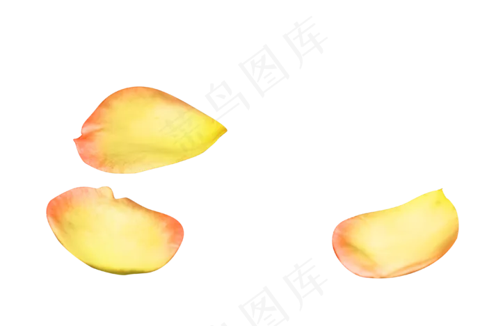 情人节黄色玫瑰花瓣(3872*2592px 300 dpi )