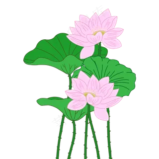 夏季装饰荷花荷叶元素