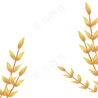 夏天芒种农作物阳光