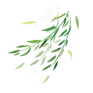 柳叶枝条飘png,免抠元素