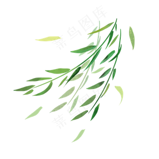 柳叶枝条飘png,免抠元素