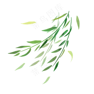 柳叶枝条飘png,免抠元素
