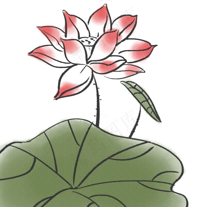 荷花花朵植物(2000X2000(DPI:300))psd模版下载