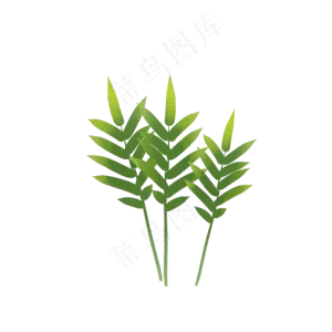 绿色植物叶子透明底免抠