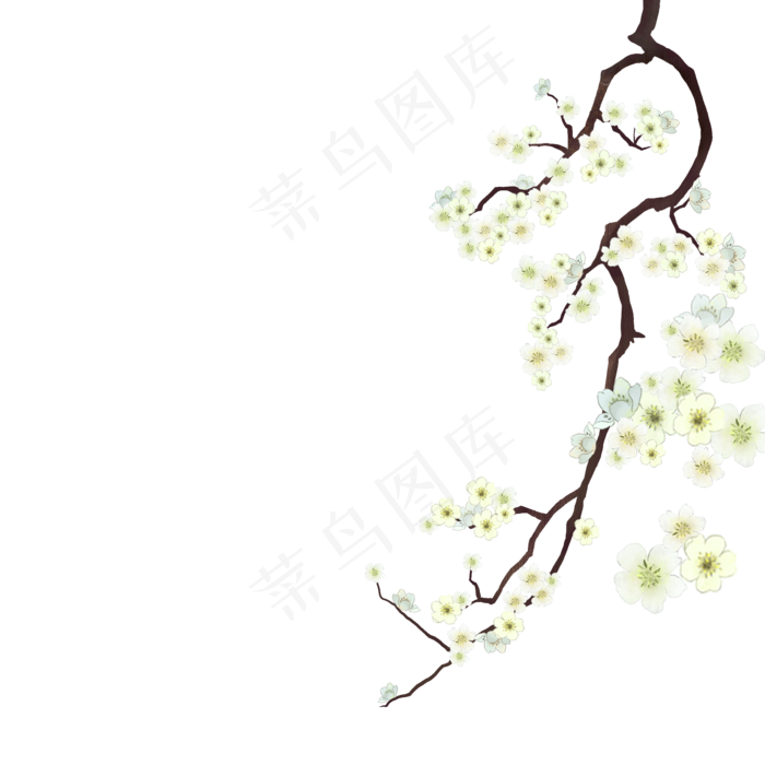 水墨手绘国风梨花树枝(2000X2000(DPI:300))psd模版下载