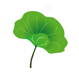 矢量夏至手绘古风荷叶