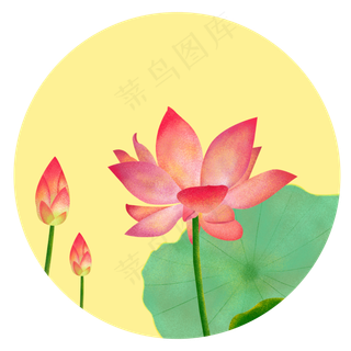 手绘中国风荷花荷叶装饰元素