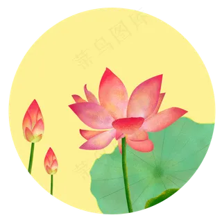 手绘中国风荷花荷叶装饰元素