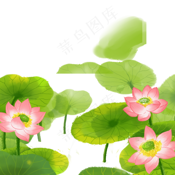 荷花池塘(2000X2000(DPI:300))psd模版下载