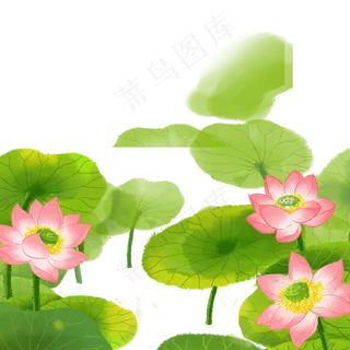 荷花池塘 荷花池塘