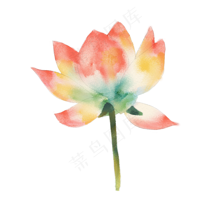 夏日清新水彩粉色荷花(2000X2000(DPI:300))psd模版下载