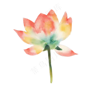 夏日清新水彩粉色荷花