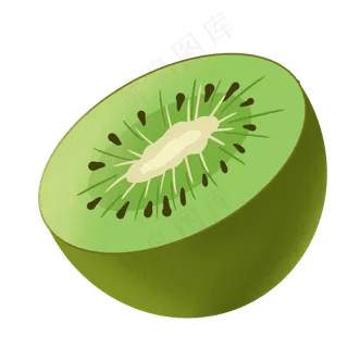 绿皮水果猕猴桃