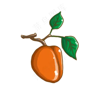 夏季水果杏子手绘小清新手账