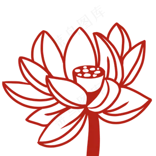 盛开的荷花植物插图