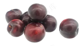 紫色水果李子
