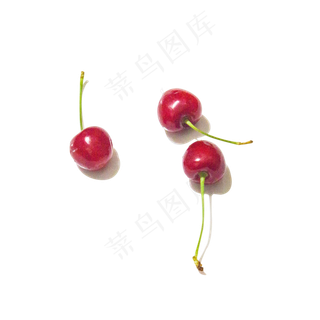 新鲜红色樱桃