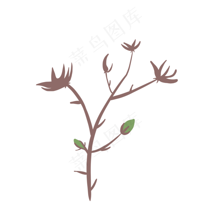 植物棉花农作物(2000X2000(DPI:300))psd模版下载