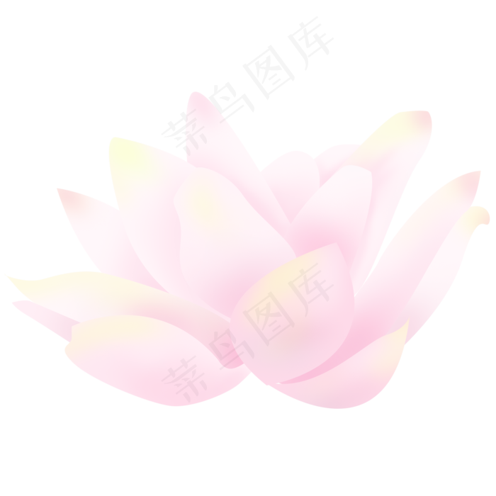 粉色荷花(2000X2000(DPI:300))psd模版下载