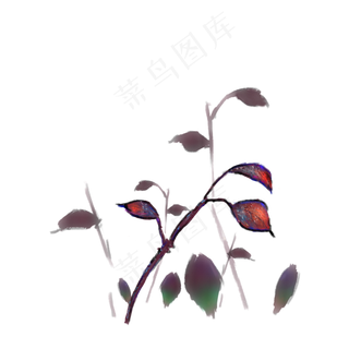 霜降结霜树叶植物