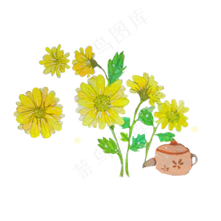 中药材中医菊花菊花茶清热,免抠元素