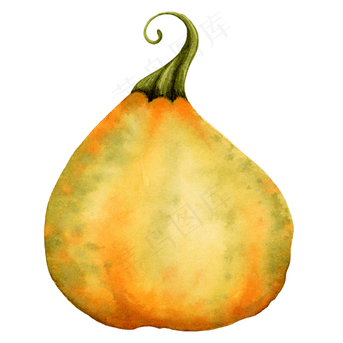 水彩手绘处暑南瓜