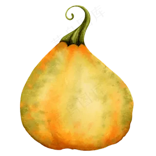 水彩手绘处暑南瓜