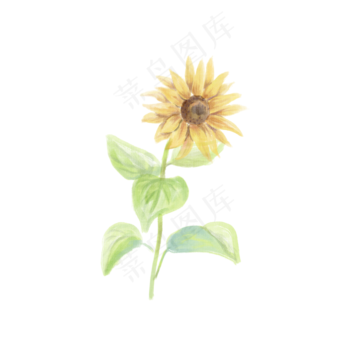 手绘水彩风向日葵