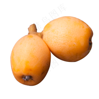 实拍土地种植丰收一对果实