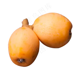 实拍土地种植丰收一对果实