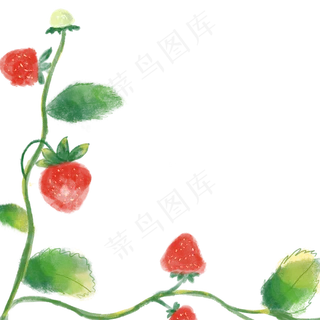 草莓枝藤边框