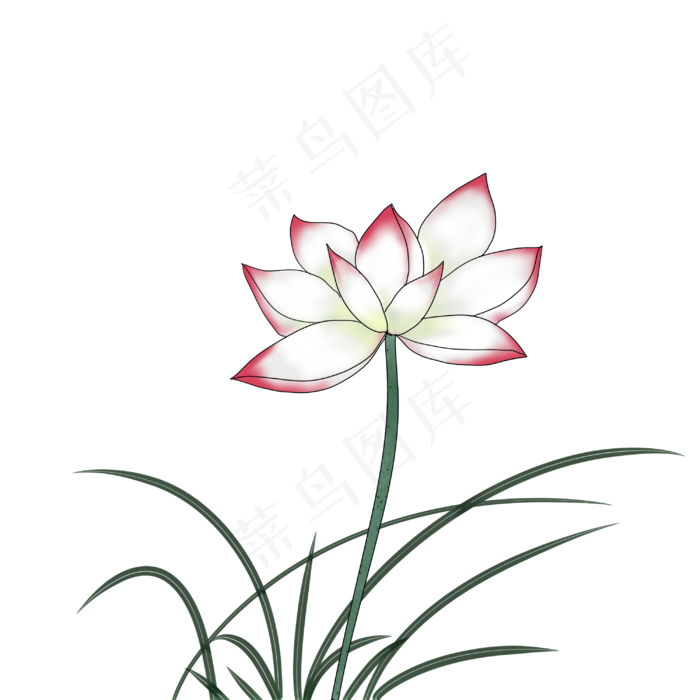 荷花春天清明节手绘装饰图案(3000X3000(DPI:299))psd模版下载