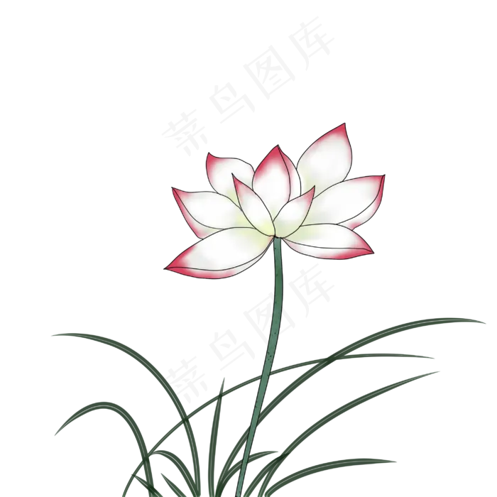 荷花春天清明节手绘装饰图案(3000X3000(DPI:299))psd模版下载