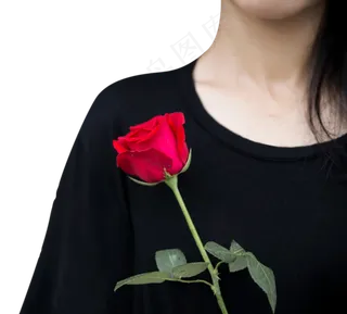 拿着红玫瑰的女孩