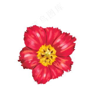 手绘小红花免扣可商用素材