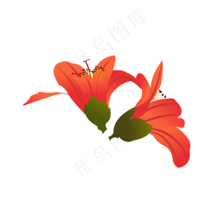 手绘木棉花元素之卡通红色植物花