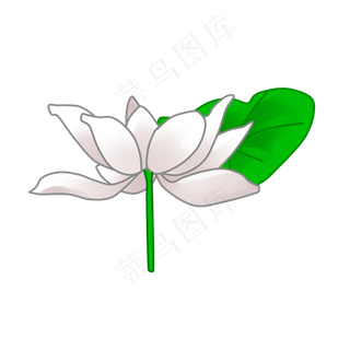 夏天荷花荷叶清明盛夏卡通手绘免