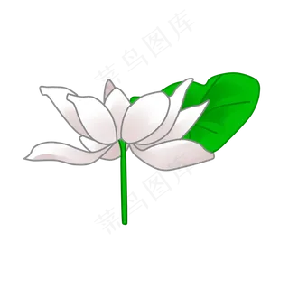夏天荷花荷叶清明盛夏卡通手绘免