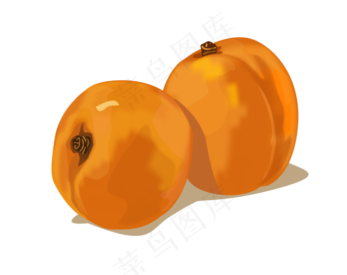 南方水果黄色枇杷