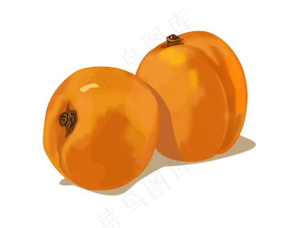 南方水果黄色枇杷