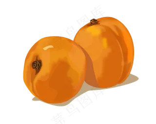 南方水果黄色枇杷