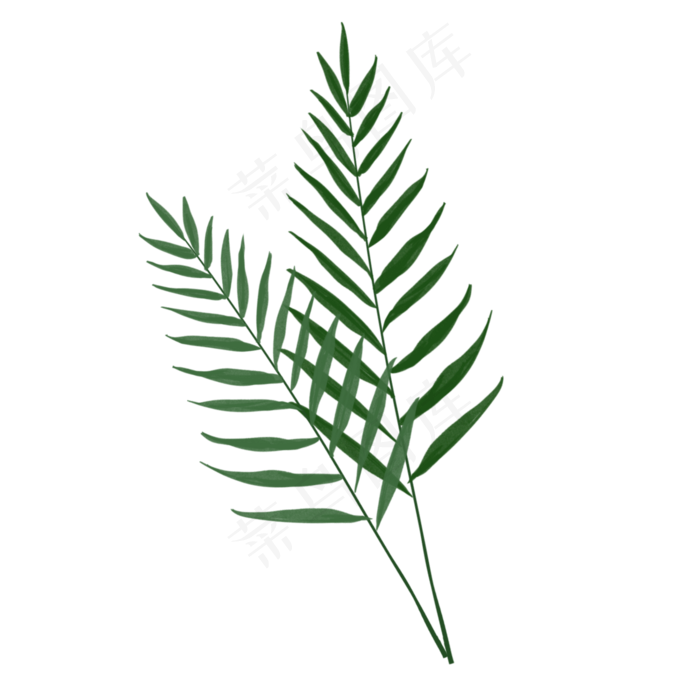 小清新手绘植物翠绿葵叶,免抠元素(2000*2000px)psd模版下载