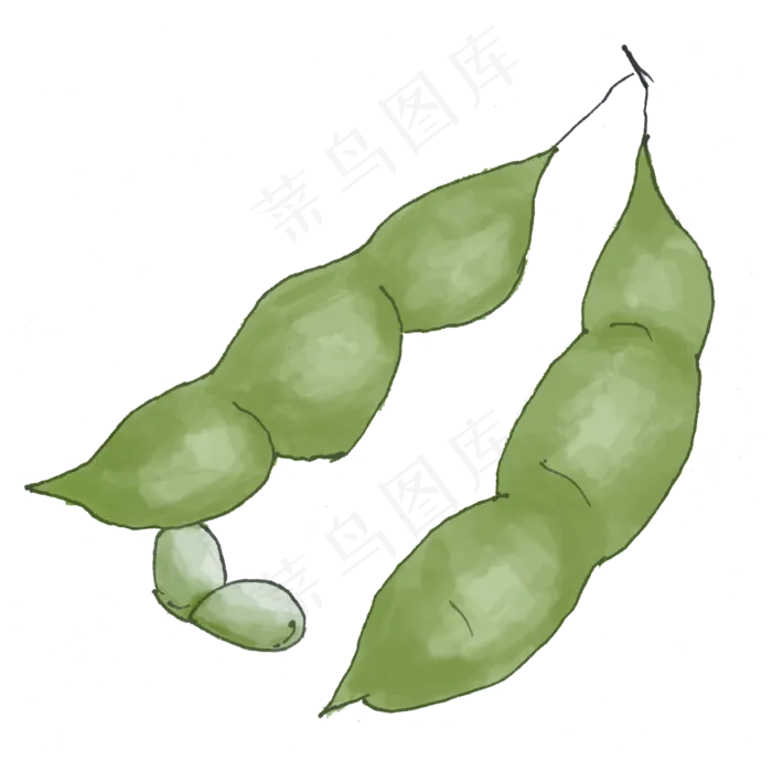 手绘水彩蔬菜食材豆角png(2000X2000(DPI:300))psd模版下载