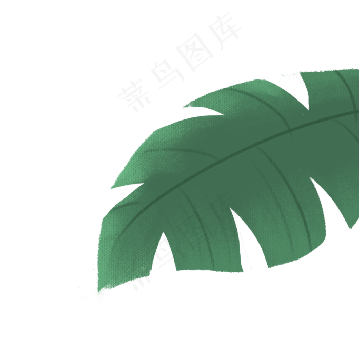 春天植物绿叶下载(2000*2000px 300 dpi )psd模版下载