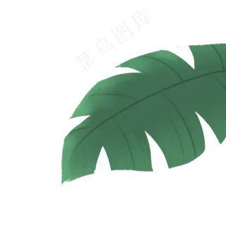 春天植物绿叶下载