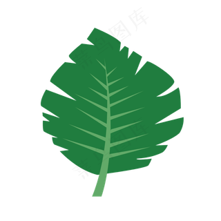 卡通绿色棕榈叶叶子图,免抠元素